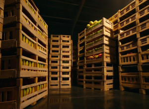 Обнаружение на 20 миллионов евро: более 500 кг кокаина случайно оказались в немецких супермаркетах