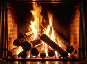 Безопасное и эффективное отопление дровами: что нельзя сжигать в камине