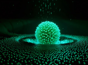 Обнаружение дикого полиовируса в сточных водах Гамбурга вызывает тревогу