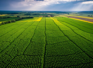 Изменение климата: глобальные последствия и пути решения