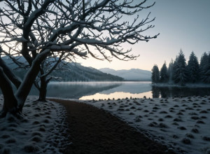 Тотензоннтаг и Рождественский декор: Когда уместно начинать украшать?