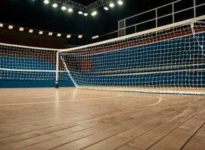 Гандбольная Бундеслига: «Райн-Неккар Лёвен» против «Фюксе Берлин» – где смотреть матч бесплатно?