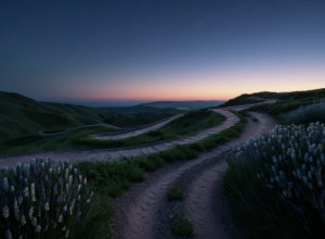 Теннисистка Ана Иванович и футболист Бастиан Швайнштайгер разводятся