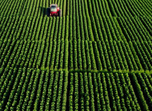 Инновационные решения для сельского хозяйства