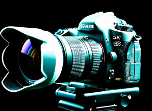 Пожар в ресторане звезды ТВ-кухни Александра Херрманна: Быстрая реакция предотвратила трагедию