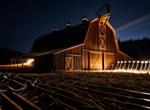 Приключения на "Звездной ферме": кто выбыл и кто остался в реалити-шоу Promihof