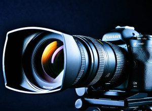 Новости дня