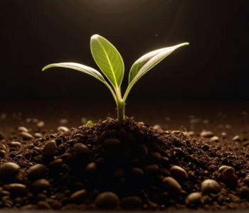 Министр-президент СРВ Хендрик Вюст и его жена ожидают пополнения в семье