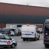 В Гамбурге задержали банду воров грецких орехов при попытке продать похищенное владельцу