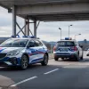 В Германии на границе остановили польского водителя с запрещенной дубинкой