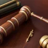 Служба защиты конституции Бранденбурга приостановила классификацию АдГ как "установленно правоэкстремистской"
