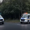 В Германии задержаны пьяный водитель 73 лет и водитель под наркотиками: подробности инцидентов в Сольтау и Буххольце