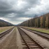 Стадо коз заблокировало движение поездов в Германии