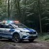 В Германии под Зиндельфингеном нашли труп женщины в лесу: полиция просит помощи в расследовании