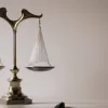 Франция сделала шаг к легализации эвтаназии: Законопроект одобрен Национальным собранием