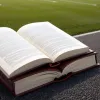 Капитан сборной Германии по футболу Юлия Гвинн: откровенно о сексе, травмах и личной жизни в новой книге