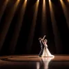 Let's Dance 2025: Профи-челлендж – Правила, участники и где смотреть