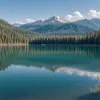 Опасные водоросли в Берлине: На озере погиб пес, власти предупреждают об угрозе
