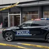 В Германии поймали магазинного вора обуви после погони