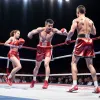 World Boxing вводит гендерные тесты: Алжирская чемпионка Иман Хелиф отстранена