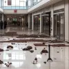 В ТЦ Германии вор шоколада напал на свидетеля: полиция задержала дебошира