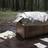 Суд в Кобленце: Чек из Burger King может раскрыть ужасные детали двойного убийства