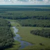 Заброшенный мега-аэропорт во Флориде: Как «самый большой в мире» стал домом для крокодилов