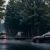 В Германии водитель BMW уснул за рулем и перевернулся