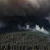 Лесной пожар в Квиттельсдорфе парализовал движение на федеральной трассе в Германии