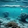 Глава МИД Германии: Ситуация в Балтийском море тревожна, Германия усилит безопасность в регионе