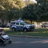 Нападение в парке Берлина: женщину избили камнем и ограбили