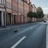 В Германии водитель скутера, скрываясь от полиции, сбил двухлетнего ребенка