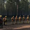 Немецкие пожарные освоили новую тактику тушения лесных пожаров в Мёнезее