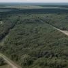 Германия развертывает бригаду в Литве: усиление восточного фланга НАТО на фоне напряженности с Россией