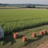 ЕС вводит пошлины на удобрения из России и Беларуси: Что это значит для цен на продукты?