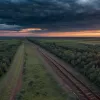 Берлинцы забрались на крышу поезда у границы с Чехией: многочасовая задержка и огромный штраф