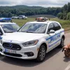 На границе Германии задержан румын с семью контрабандными щенками такс