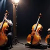На трассе в Германии задержали венгра с ценными музыкальными инструментами без декларации