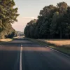 ДТП в Германии: Корова выбежала на трассу и погибла под колесами автомобиля