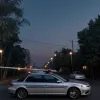 Полиция в Мангейме остановила водителя с четырехметровым бамбуком из люка