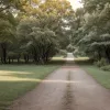 Жизель Бюндхен показала новое счастье: фото с детьми и возлюбленным "ранит" Тома Брэди?