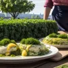 Франкфурт прощается с культовым Фестивалем Зеленого соуса: причина – рост расходов
