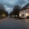 В Германии друг зарезал риелтора, которого должны были отправить в психбольницу
