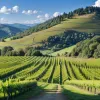 Место с самых известных обоев Windows XP "Bliss" изменилось до неузнаваемости