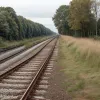 Барсуки остановили поезда в Германии: Железная дорога на Балтике закрыта из-за звериных нор