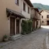 В немецкой деревне царит страх: полиция бессильна перед мужчиной с укулеле