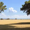 Погода: Ждать ли аномально жаркого лета? Прогноз на ближайшие дни