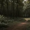 Основатель "7 vs. Wild" Фриц Майнеке объявил об уходе из шоу