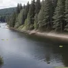 Задержание во Фрайбурге: Мужчина приставал к юным пловцам на озере
