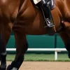Изабель Верт в 18-й раз стала чемпионкой Германии по выездке